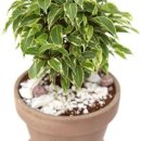 정화농장 이미지