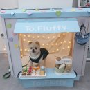 투플러피 이미지