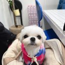 포케올데이선정릉역점