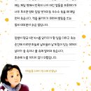 (빙그레 선생님) 일벌의 일생. 이미지