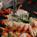 별빛회포차 이미지