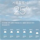 Holics(홀릭스) | 제목은 250809 윤하 팬미팅 [YOUNHA Y-HOLICS 9th FANMEETING] 후기로 하겠습니다. 근데 이제 당일치기...