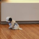 헤어샵이채 | [구월동미용실] 위리움헤어 한서 디자이너 클리닉 후기