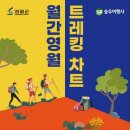 서강여행사