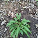 홍천농장 이미지