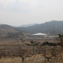 청도통김밥 이미지