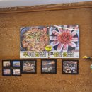 낭만닭발 | 맛있게 매운 강릉 포남동 맛집 낭만닭발 방문 후기