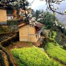 섬마을바다 이미지