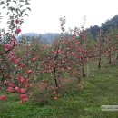 승희네농장 이미지