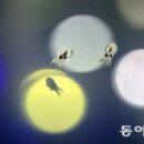 문어의꿈 - 여수시 흥국로 72 | 문어의꿈