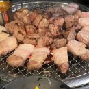 팔도노래연습장 이미지