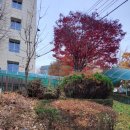 인천소양초 이미지