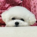 수민이네족발 | 꽤나 밀린 일상이랄까