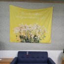 코코애견펜션 이미지