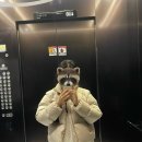 영통중학교 | [D+110~112] 밀린거는 그만 쓰기로 해요...