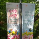 서울대공원 장미축제-장미원사진관 이미지