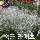티티산업