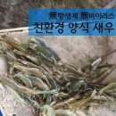 삼마수산 네이버블로그