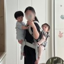 쭈니동물병원 | 18개월 쭈니워니의 12월 part1- 재접근기 엄마껌딱지, 첫 눈, 자유부인, 트니트니 겨울학기, 잠퇴행...