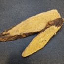 중화부부한의원 이미지