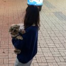 카페휴개 이미지