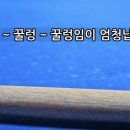 [공지] 당구큐 자가 센터보정 하는 방법 [출처] 당구큐 자가 센터보정 하는 방법|작성자 당돌이 이미지