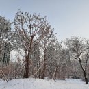 스타벅스 서울웨이브아트센터점 이미지