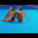FCI Dog dance World Championship 2016 – Freestyle final 이미지