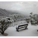 지지골 Daum카페