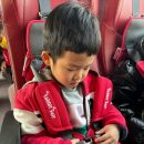 국원유치원 이미지