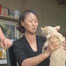 상연농장