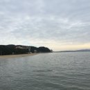 사랑해한우