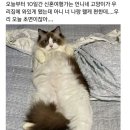 아ㅋㅋ 따까리의 이미지