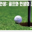 T-up비젼스크린골프