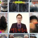 펠루카미용학원 이미지