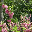 엄광산임도 이미지