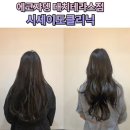 대치역미용실 에코쟈뎅 대치테라스점에서 시세이도클리닉으로 손상된 머릿결 복구(소담실장님)