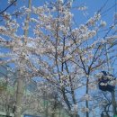 앗~~싸노래방 이미지