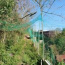 구구랜드 실키팜 이미지