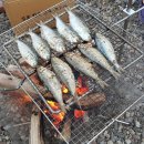 김포황토테마파크 | 김포 황토 테마파크의 꼽캠 ㅋ