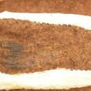 완주 갈동유적 이미지