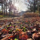 아름드리공원 이미지