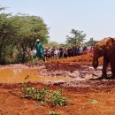 기린농장 이미지