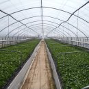 남해-142 이미지