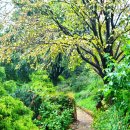 유순농장 이미지