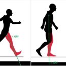 바른움직임 이미지