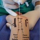 서울안아픈세상의원 이미지