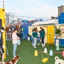 코오롱애견 이미지