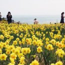 해뜨는 봄날