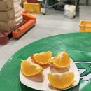 승연농장 이미지